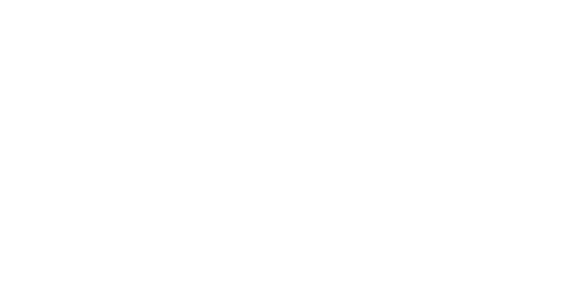 Bliss IT Solutions